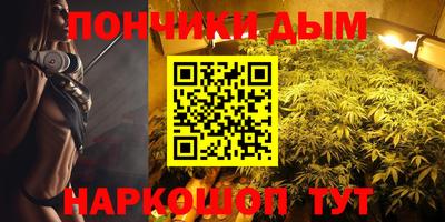 шишки Аргун