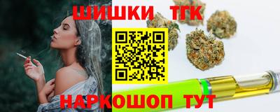 шишки Аргун