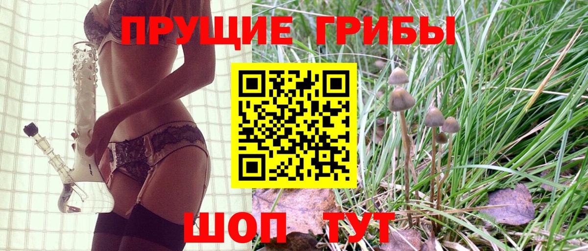 Псилоцибиновые грибы мицелий Великие Луки