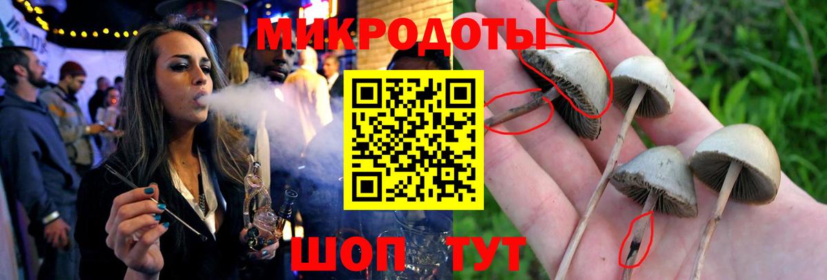 закладки  Псилоцибиновые грибы ЛСД  Вход с VPN  Великие Луки  Галлюциногенные грибы GOLDEN TEACHER 